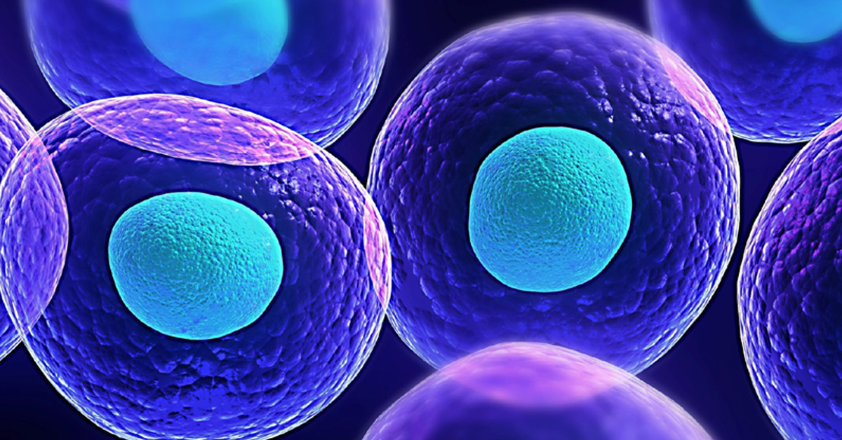 Cellule stromali mesenchimali e salute degli animali: le nuove sfide del futuro