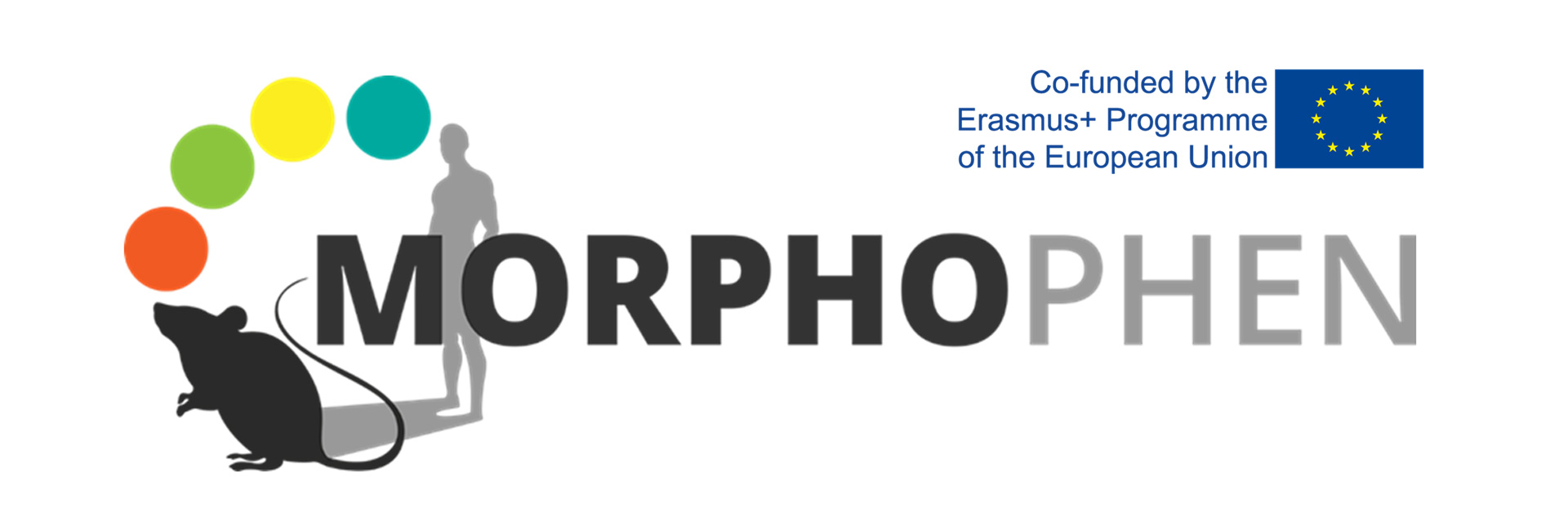 Master ERASMUS Mundus Human Diseases Models Morphological Phenotyping – MorphoPHEN