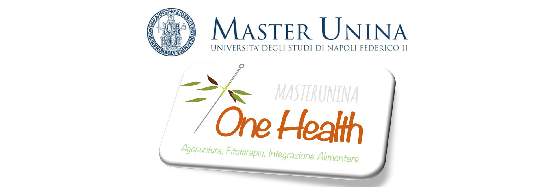 Parte a breve il Master One Health - Agopuntura Fitoterapia Integrazione alimentare