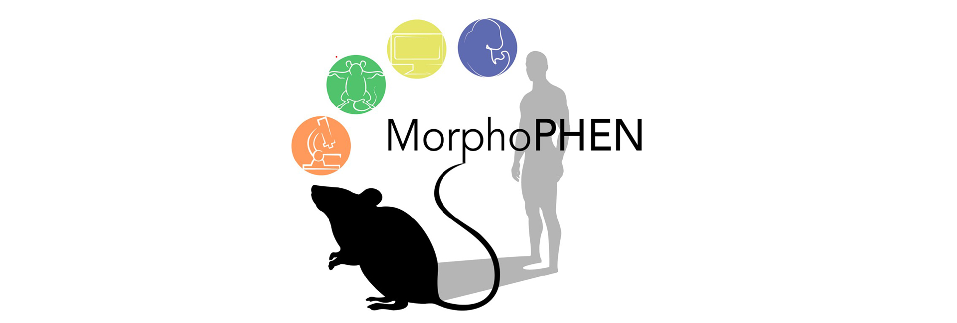 Master MorphoPHEN